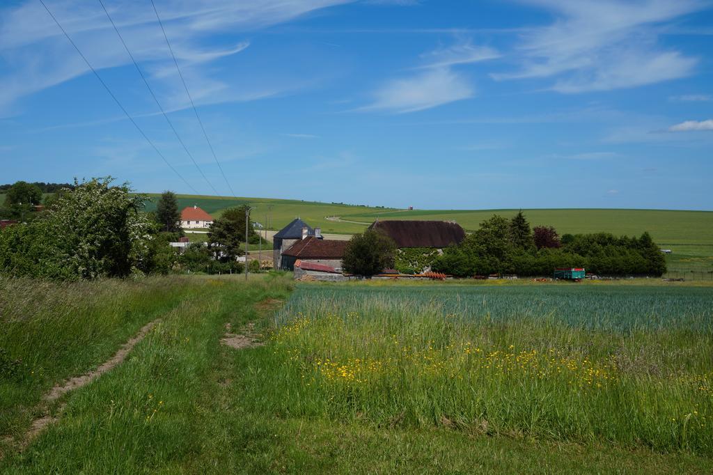 La Grille Fleurie, Chambres D'Hote Chez L'Habitant Arthonnay Kültér fotó